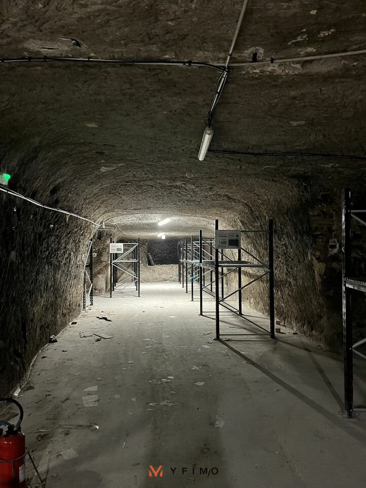 VENTE ENTREPÔTS ET LOCAUX D'ACTIVITÉ BOUGIVAL (78380) | 78_1359 | photo 8